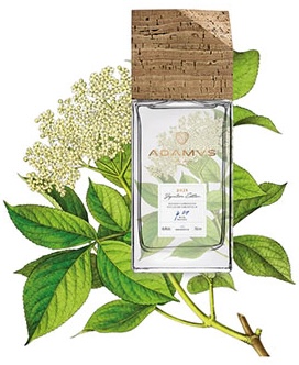 Adamus Gin